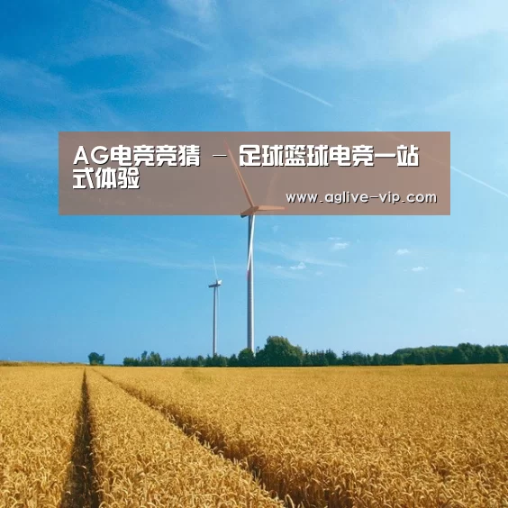 风能