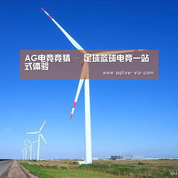 风能