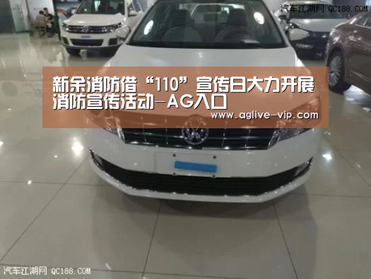 新余消防借“110”宣传日大力开展消防宣传活动-AG入口(图3) AG真人