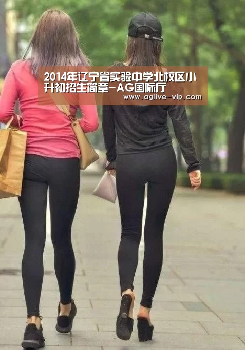 2014年辽宁省实验中学北校区小升初招生简章-AG国际厅(图3) AG入口