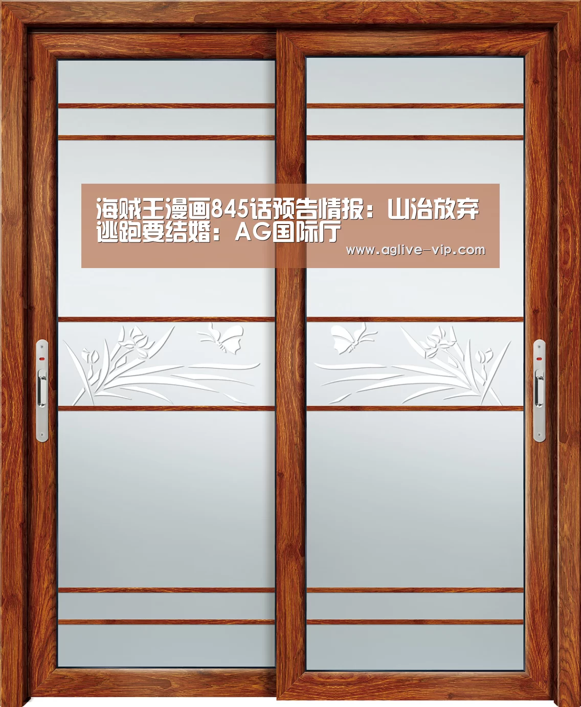 海贼王漫画845话预告情报:山治放弃逃跑要结婚:AG国际厅(图2) AG真人